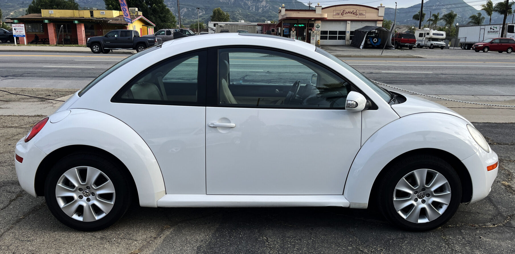 VW Beetle