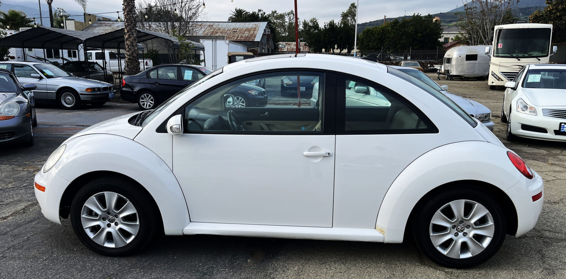 VW Beetle